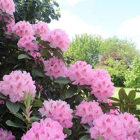 Le Clos Des Roses Saint-Regle Bagian luar foto