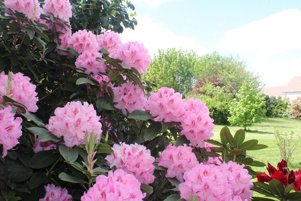 Le Clos Des Roses Saint-Regle Bagian luar foto